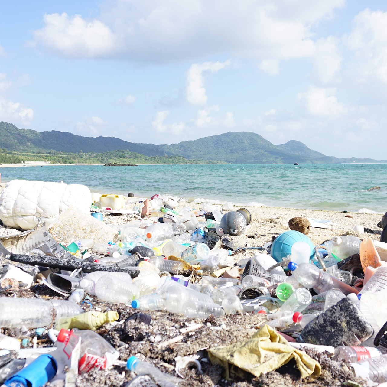 深刻なプラスチック汚染
現在、海に存在するプラスチックゴミの量は約1億5,000万トン。さらに年間800万トン(ジェット機5万機分)が新たに流入していると推定されます。(※1)(※2)
(※1) McKinsey & Company and Ocean Conservancy (2015)
(※2) WORLD ECONOMIC FORUM(2016)
このままのペースでプラチックゴミが捨てられていくと、2050年にはプラスチックゴミの量が魚を上回ると予想されています。(※3)
(※3)2016年のダボス会議で英国のエレン・マッカーサー財団が報告